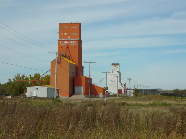 The grain elevators